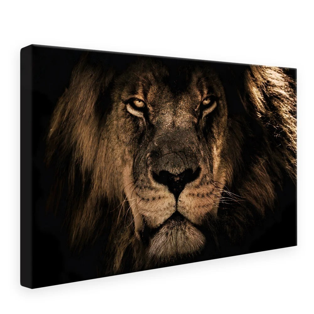 Luxury Savanna Lion Canvas