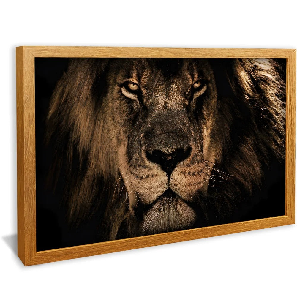 Luxury Savanna Lion Canvas