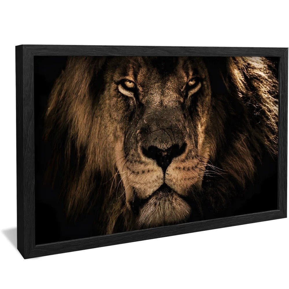 Luxury Savanna Lion Canvas