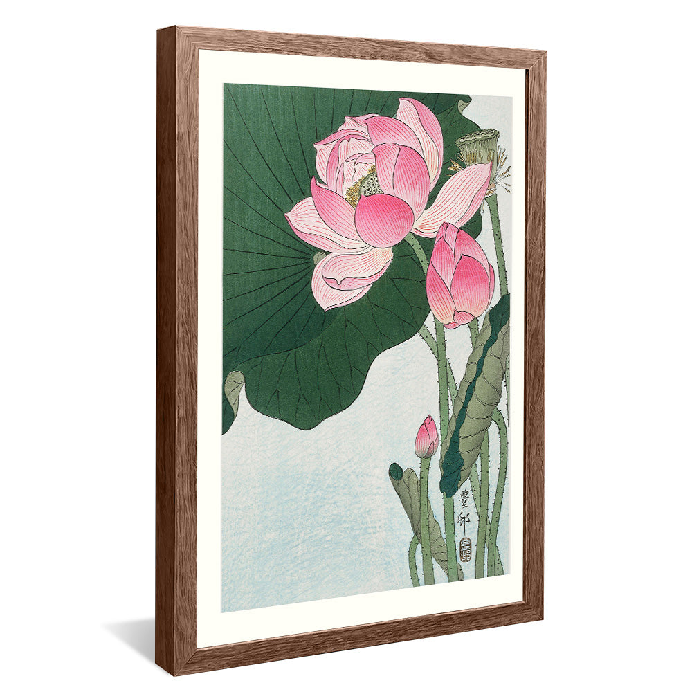 Ohara Koson Blooming Lotus Flowers V2406 Canvas
