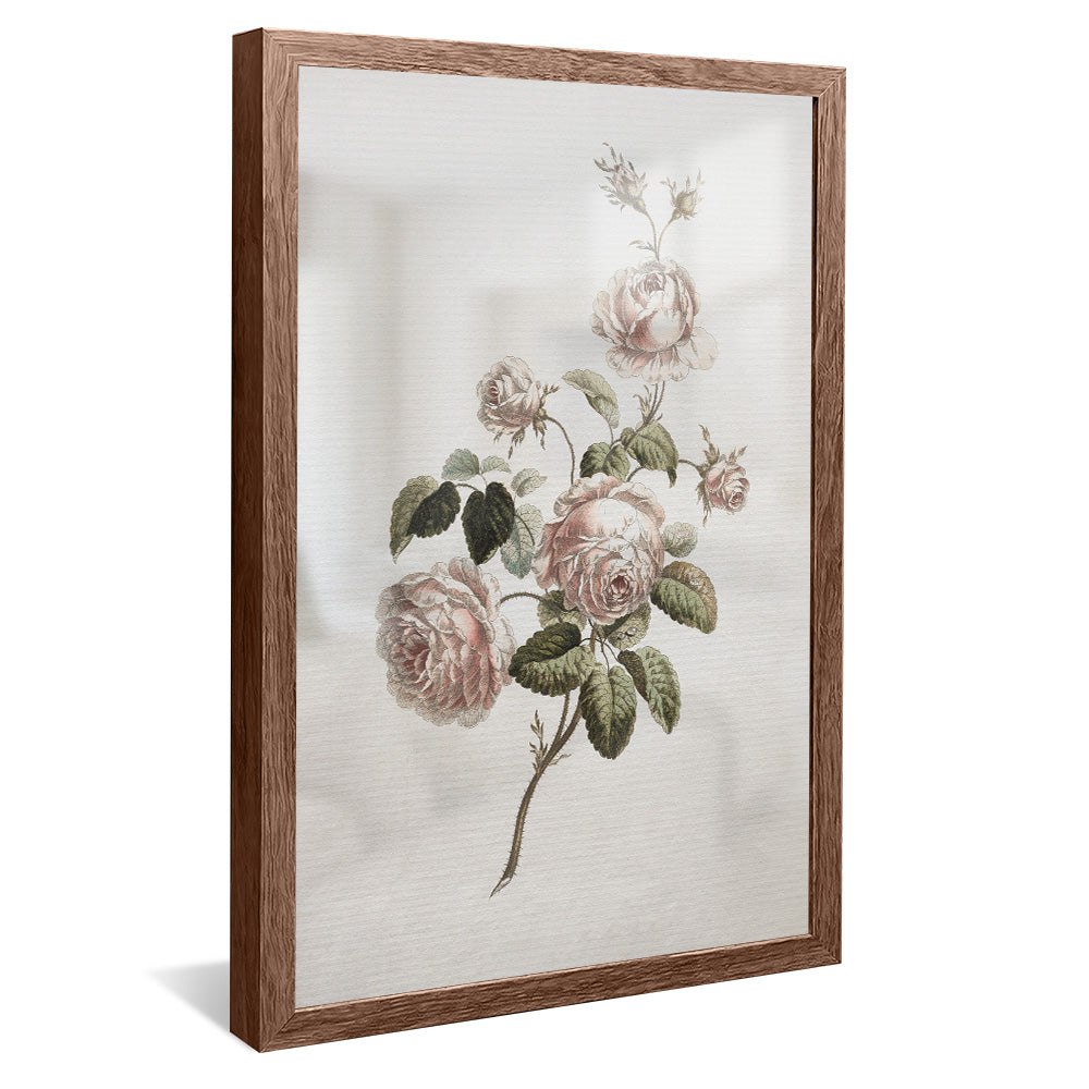 Vintage Floral V2491 Canvas
