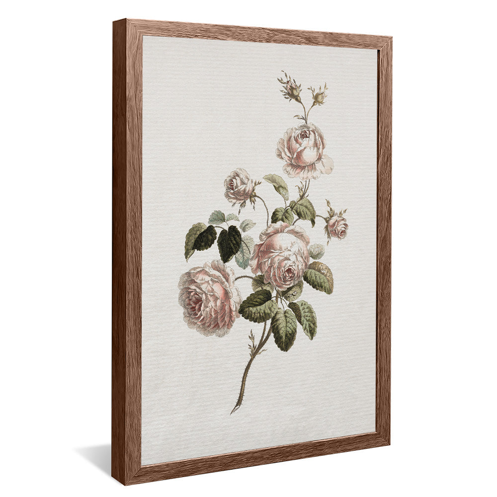 Vintage Floral V2491 Canvas