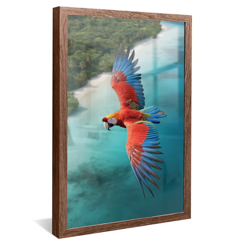 1 Piece Macaw Flying over the Caribbean V825 Canvas