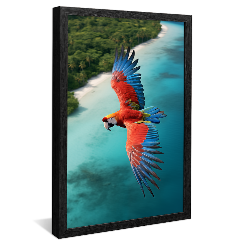 1 Piece Macaw Flying over the Caribbean V825 Canvas