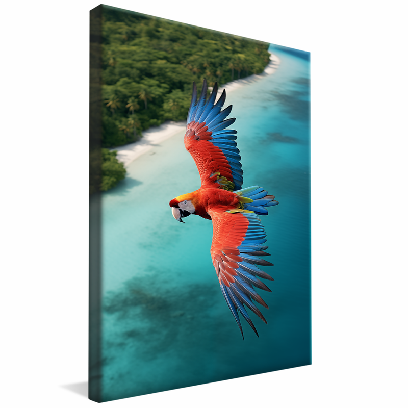 1 Piece Macaw Flying over the Caribbean V825 Canvas