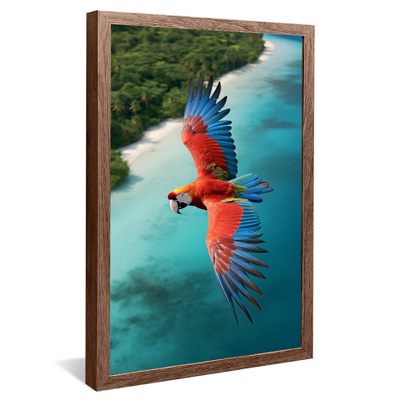 1 Piece Macaw Flying over the Caribbean V825 Canvas