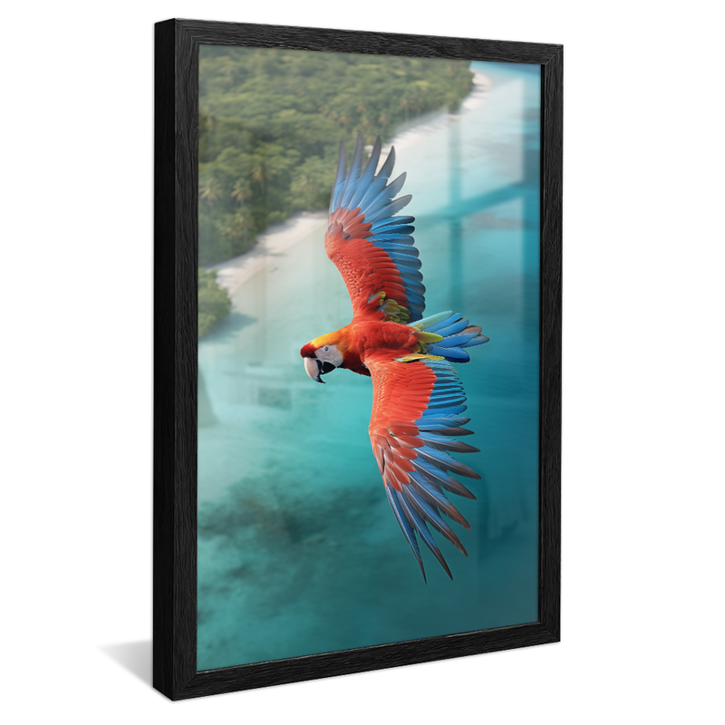 1 Piece Macaw Flying over the Caribbean V825 Canvas