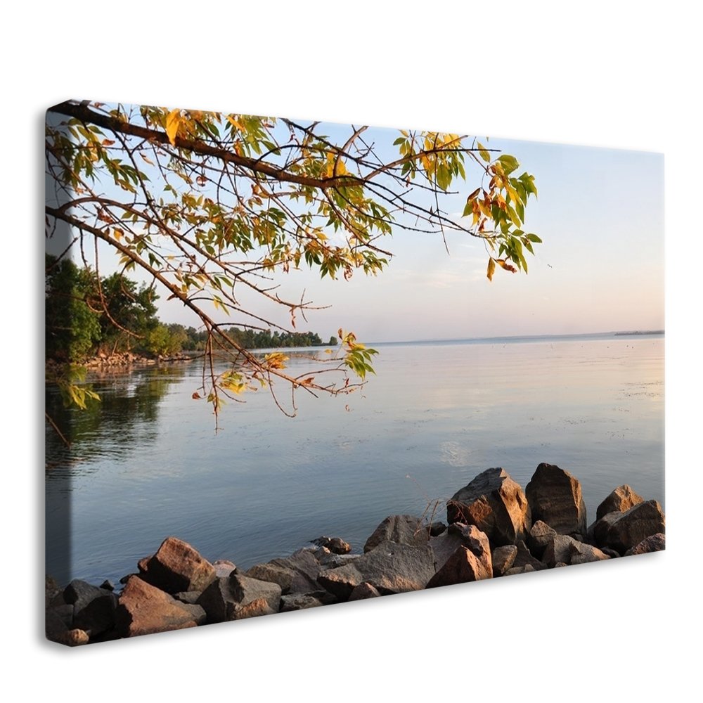 Nature Portal Canvas