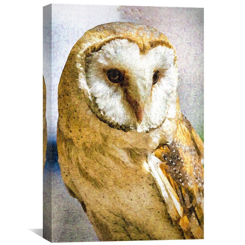 Owl Canvas