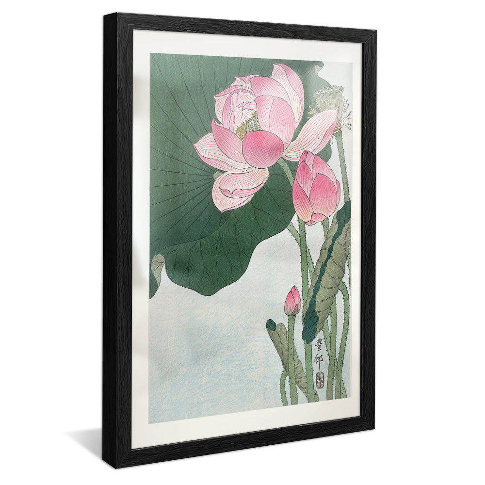 Ohara Koson Blooming Lotus Flowers V2406 Canvas