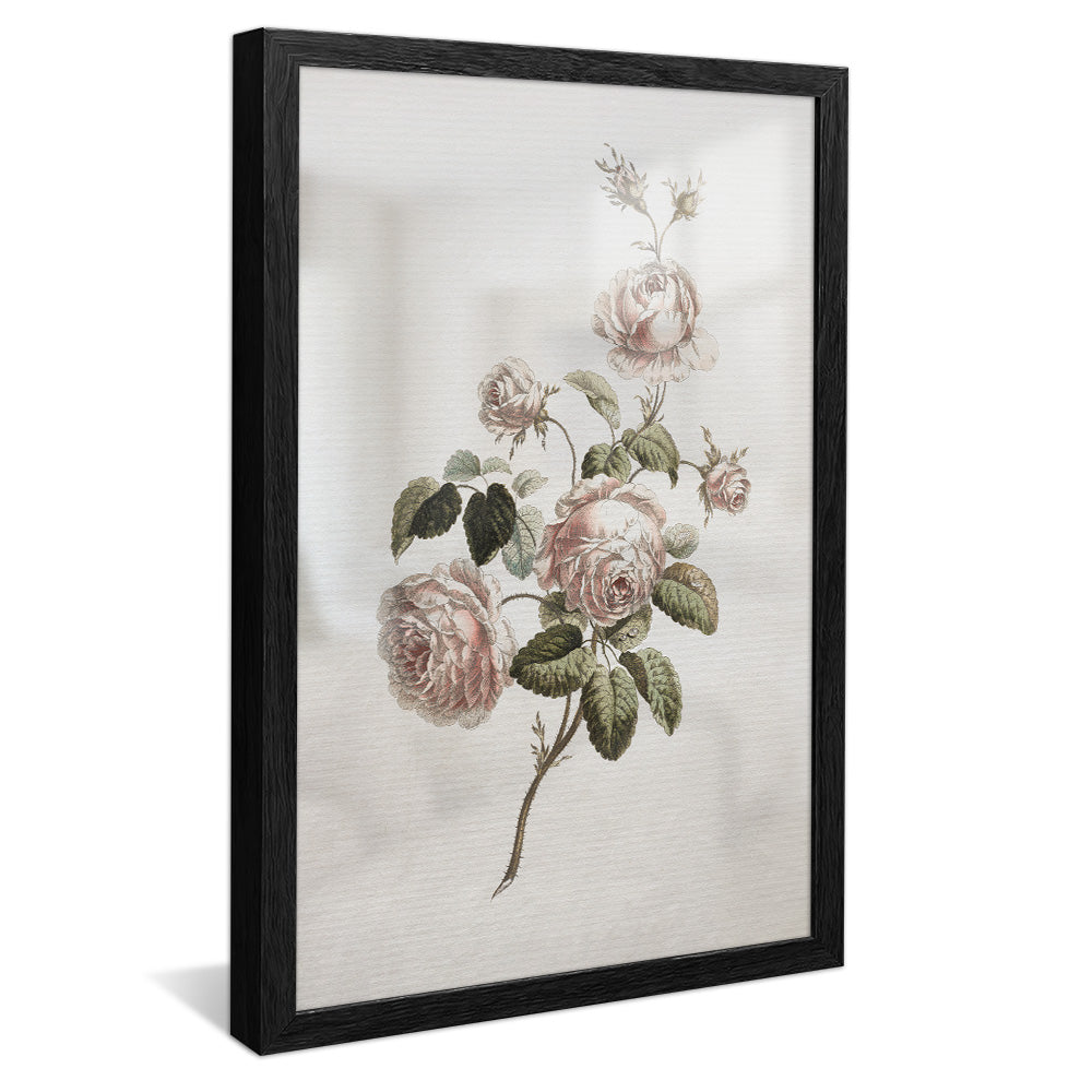 Vintage Floral V2491 Canvas