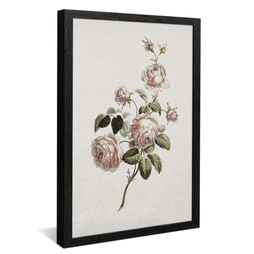 Vintage Floral V2491 Canvas