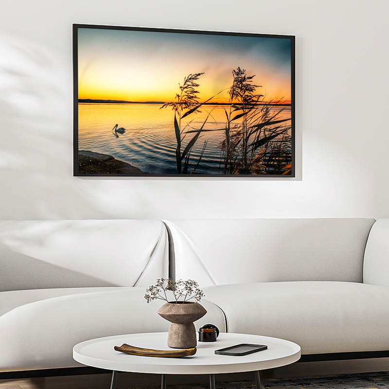 Pelican on Lake V1574 Canvas