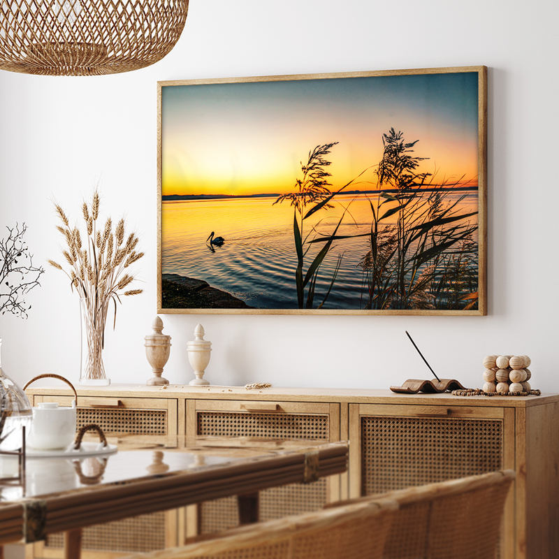 Pelican on Lake V1574 Canvas