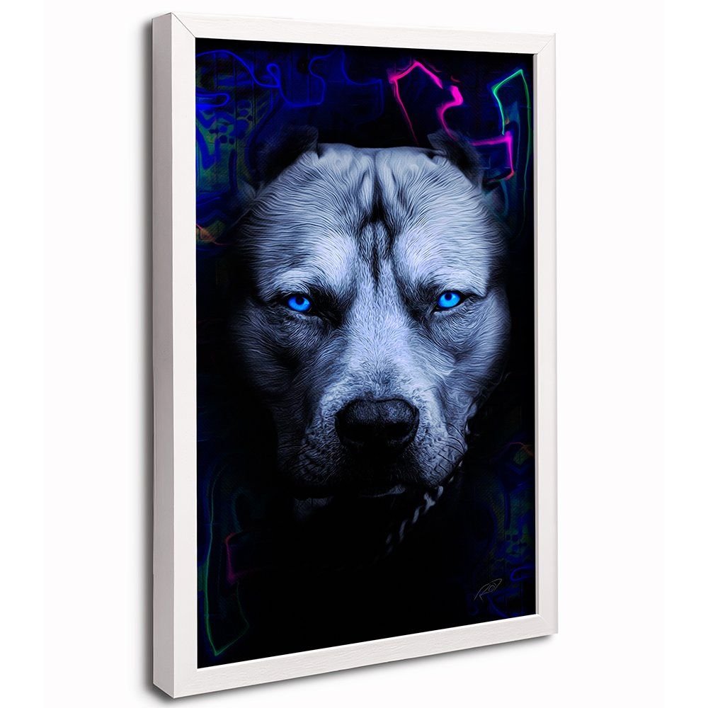 Pitbull Canvas