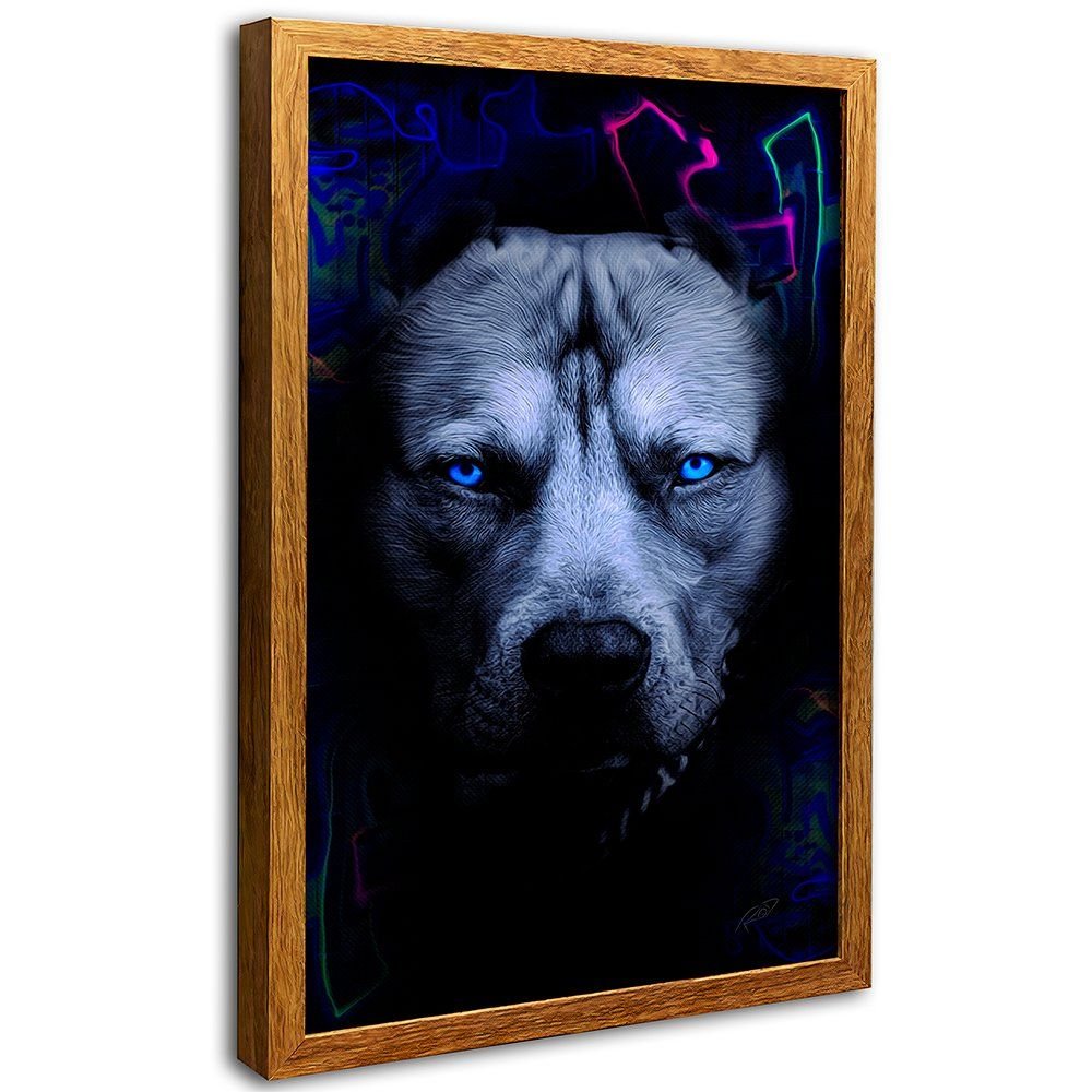 Pitbull Canvas