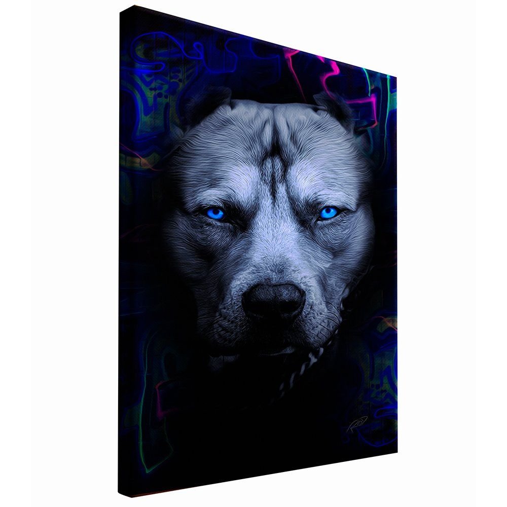Pitbull Canvas