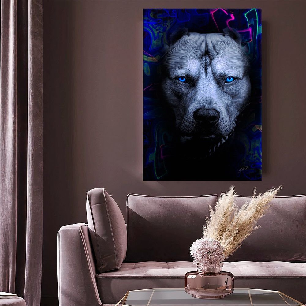 Pitbull Canvas