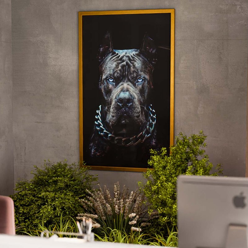 Powerful Look V1792 Canvas