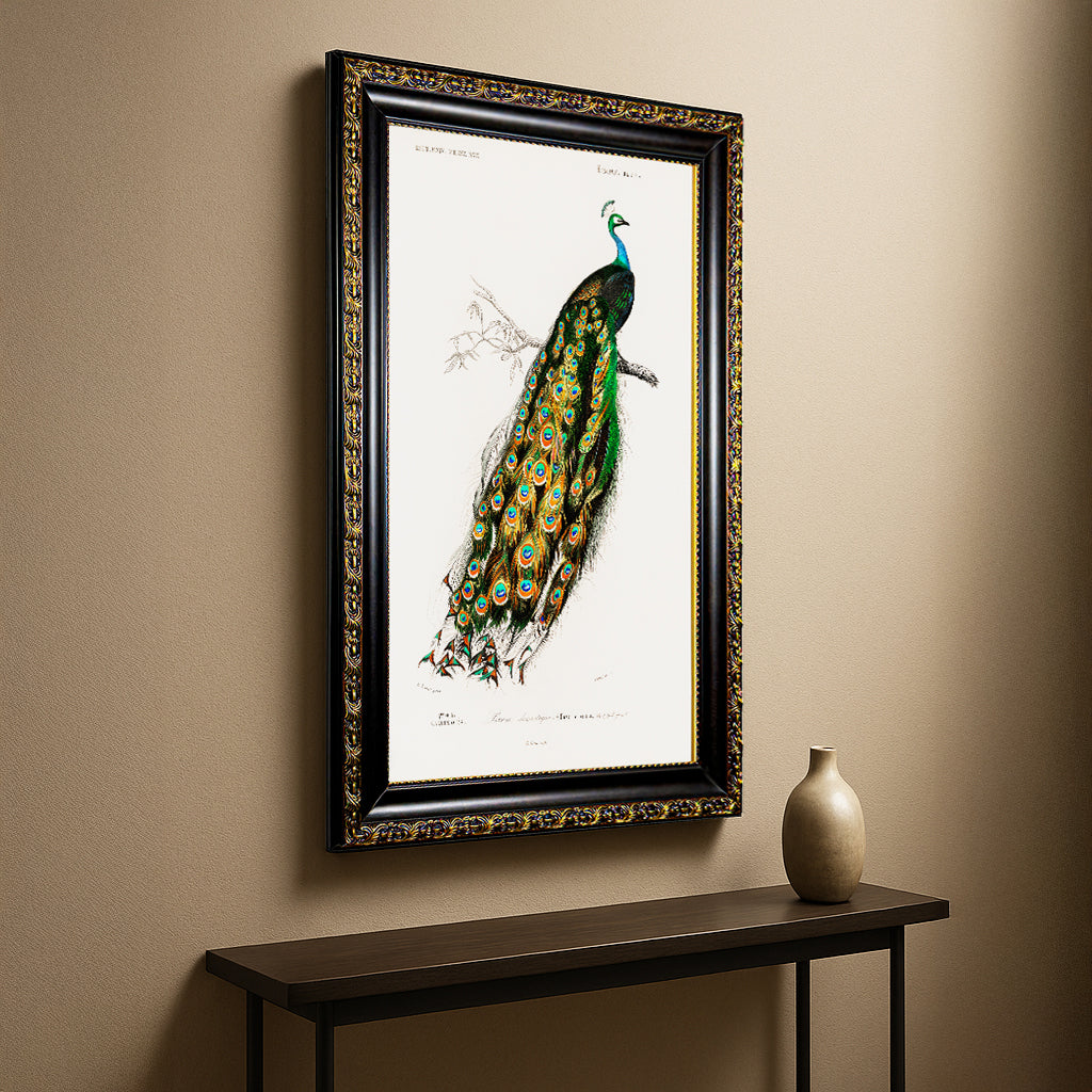 Charles Dessalines D'Orbigny Indian Blue Peafowl Canvas