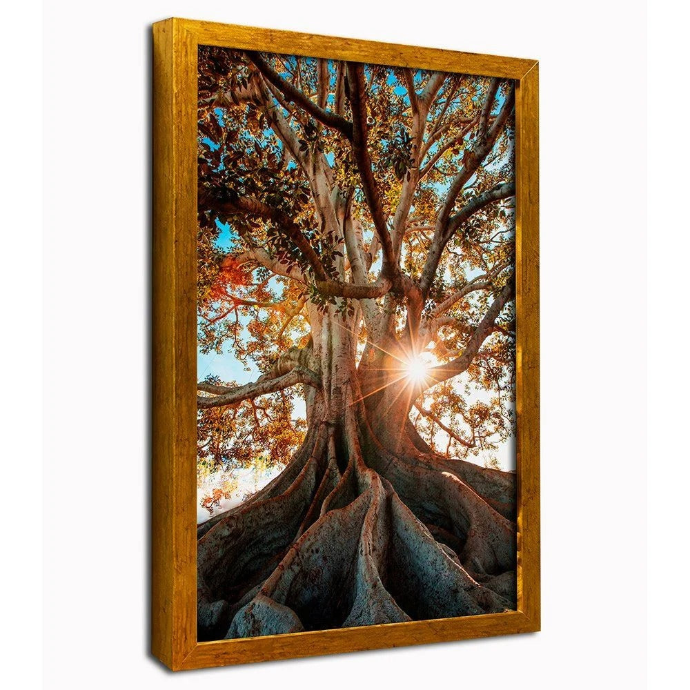 Roots Canvas