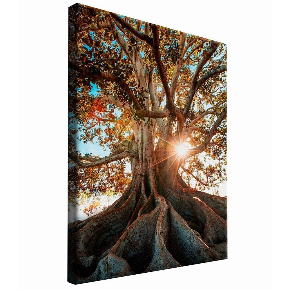 Roots Canvas