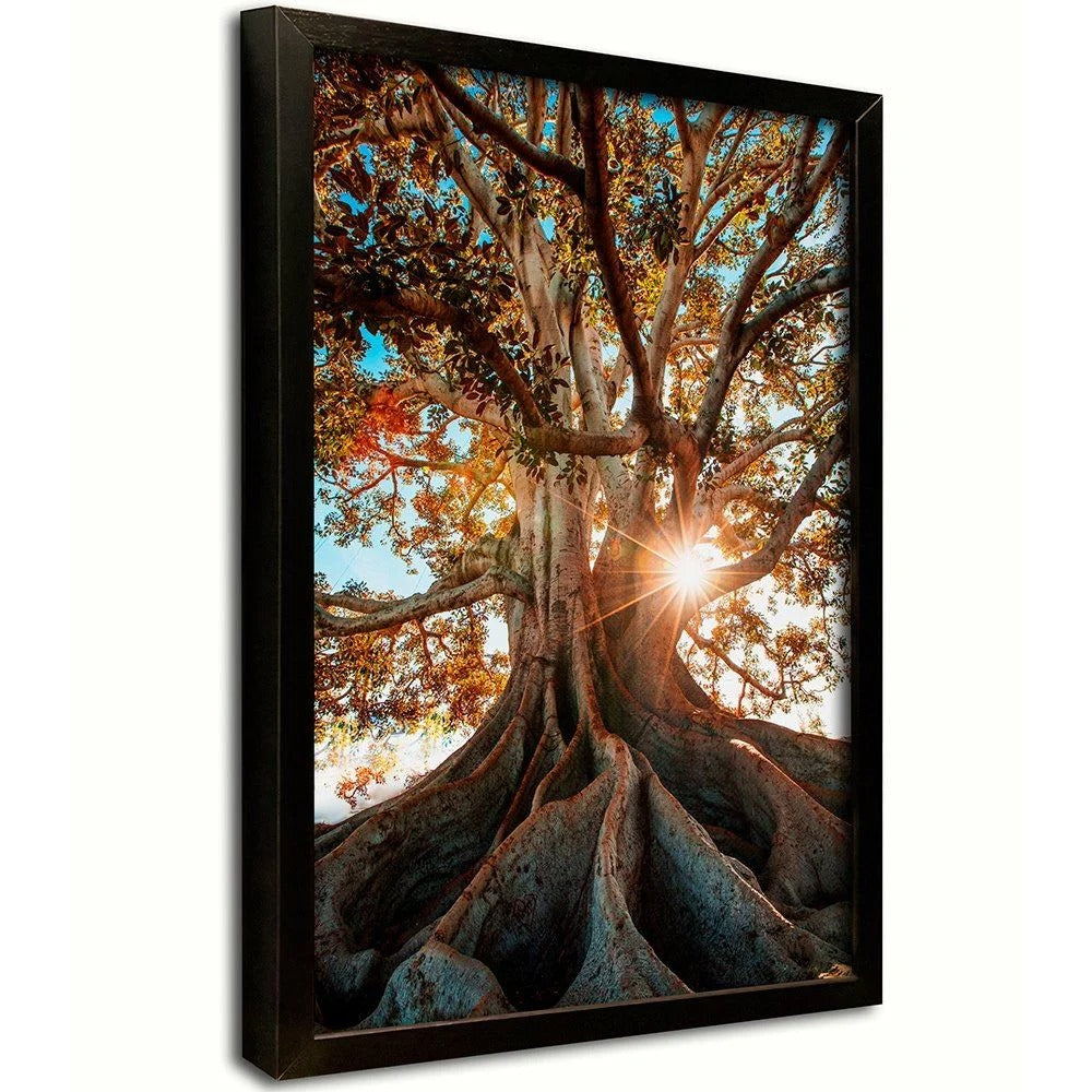 Roots Canvas