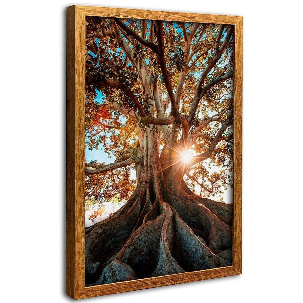 Roots Canvas