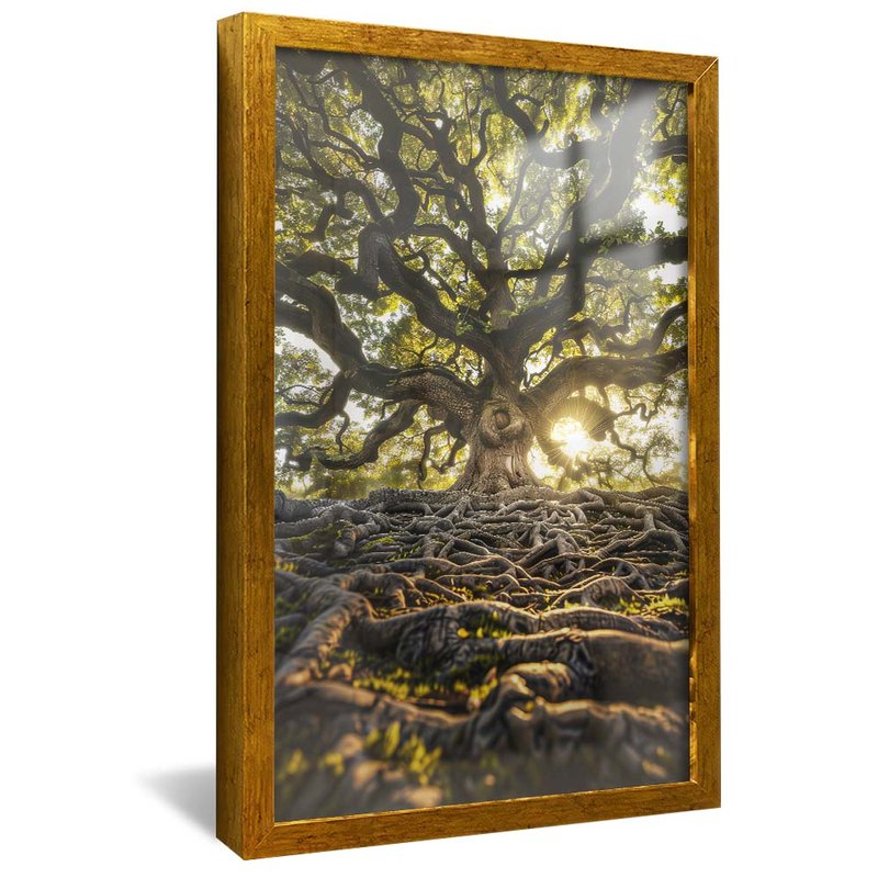 Roots and Forest V1814 Canvas