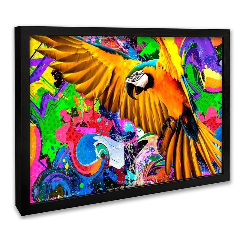 Street Macaw Canvas