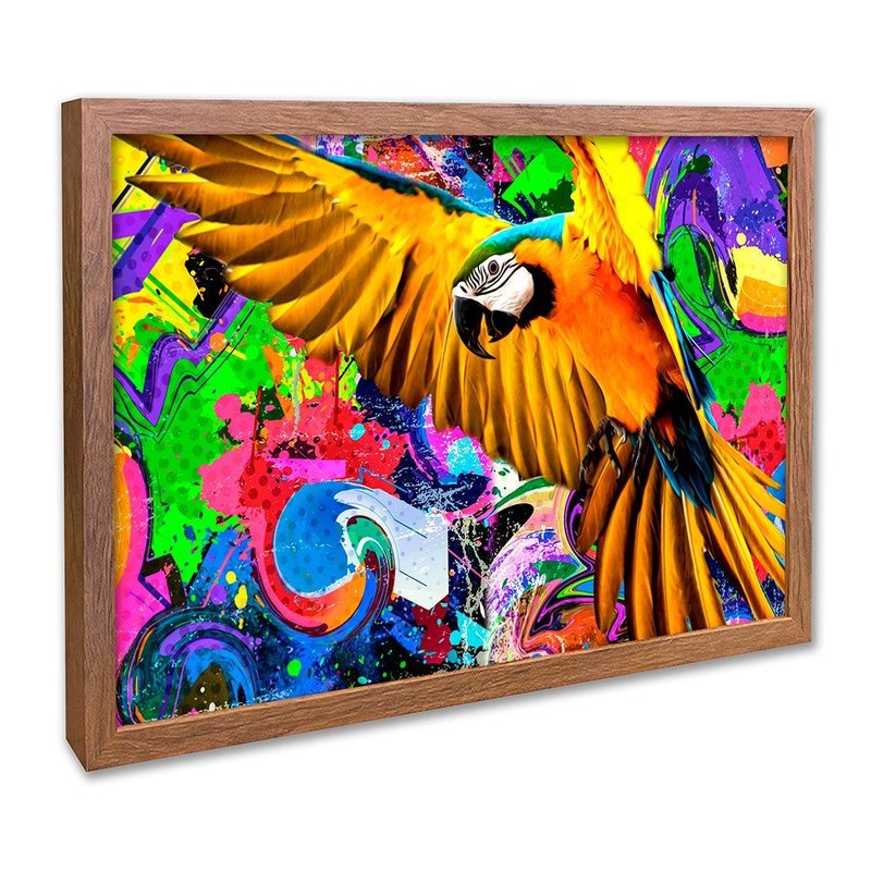 Street Macaw Canvas