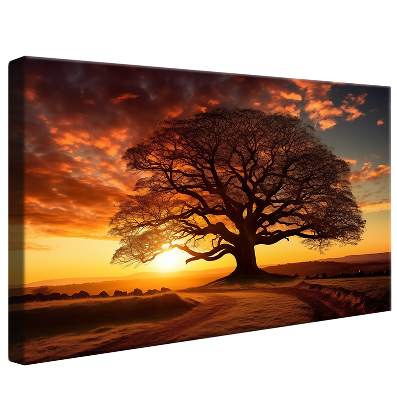 Tree and Field V849 Canvas