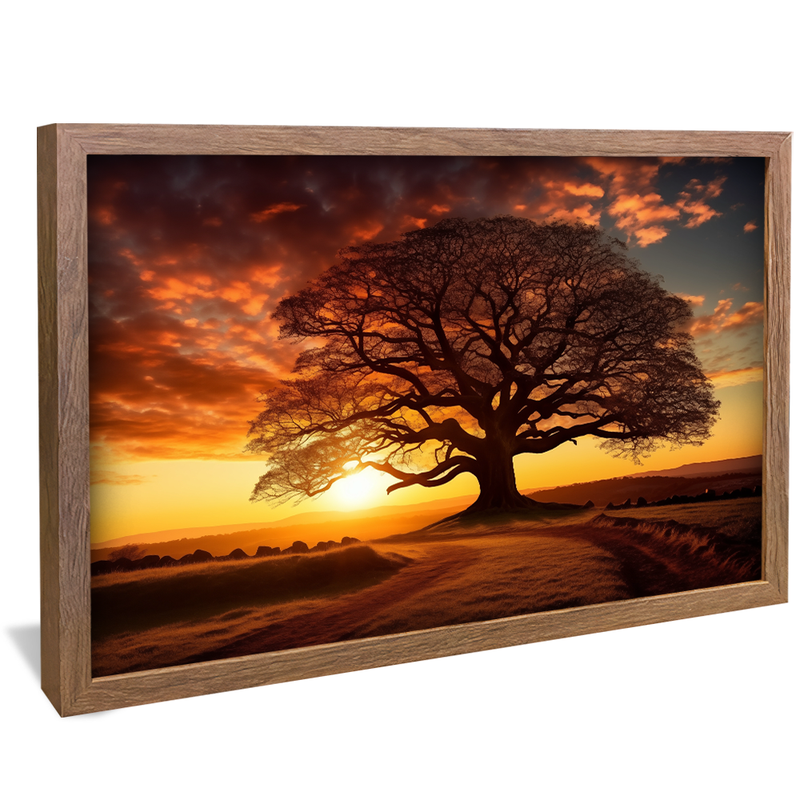 Tree and Field V849 Canvas
