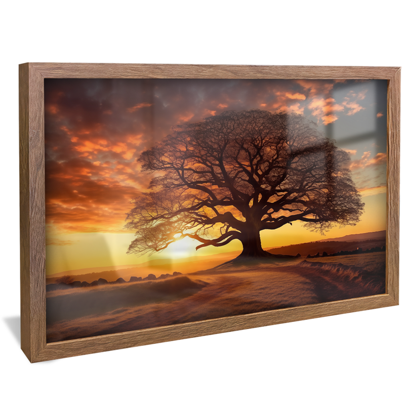 Tree and Field V849 Canvas