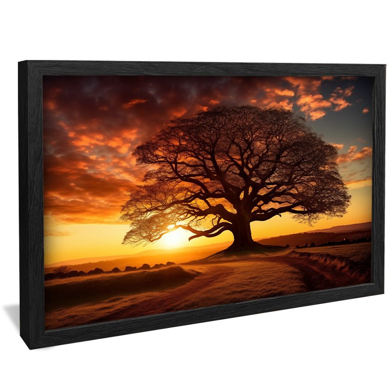 Tree and Field V849 Canvas