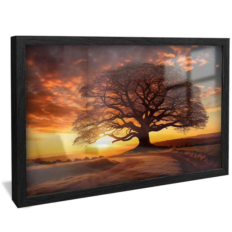 Tree and Field V849 Canvas