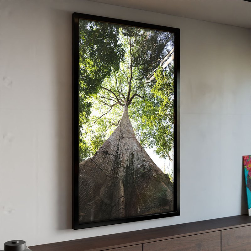 Tree in the Forest V1969 Canvas