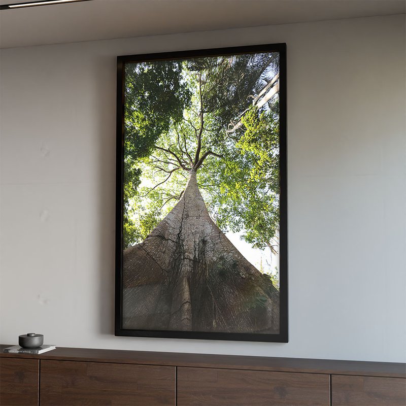 Tree in the Forest V1969 Canvas