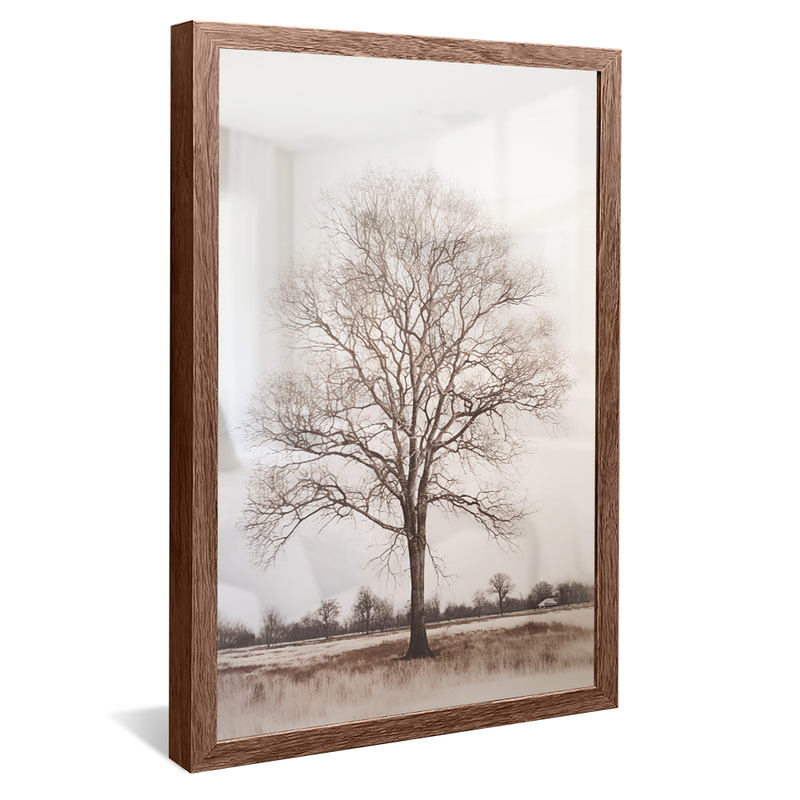 1 Piece Tree in the White Background V963 Canvas