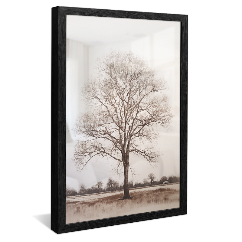 1 Piece Tree in the White Background V963 Canvas