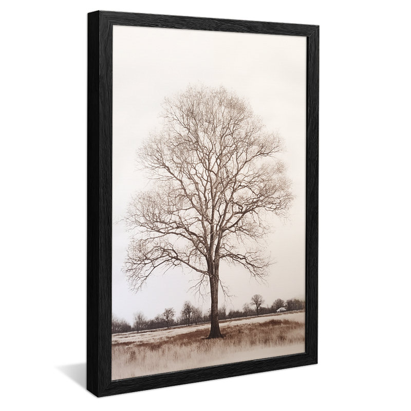 1 Piece Tree in the White Background V963 Canvas