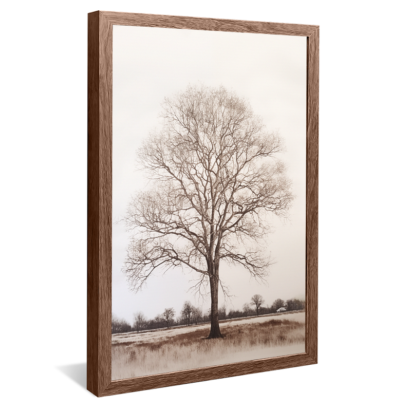 1 Piece Tree in the White Background V963 Canvas