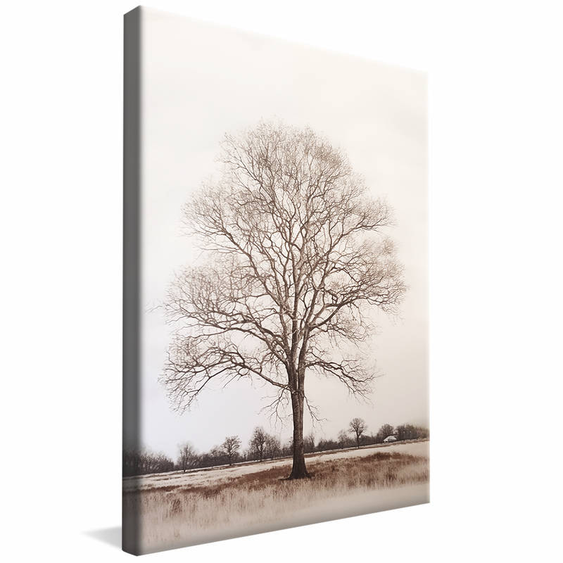 1 Piece Tree in the White Background V963 Canvas