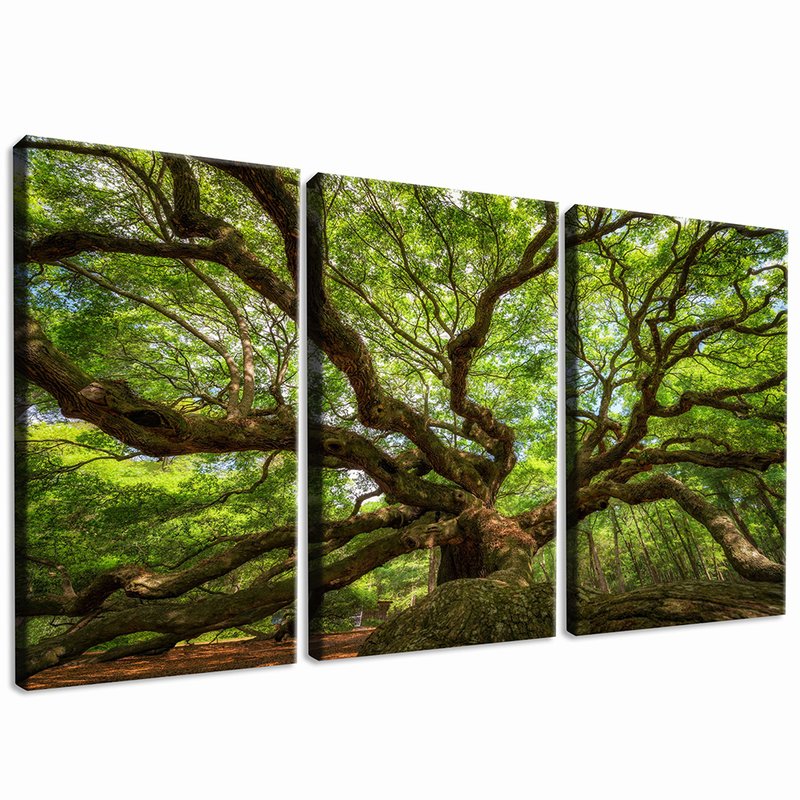 Trio Tree of Life Canvas