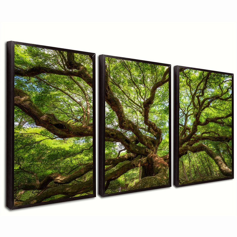 Trio Tree of Life Canvas