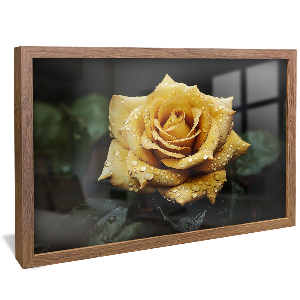 Wet Yellow Rose V831 Canvas