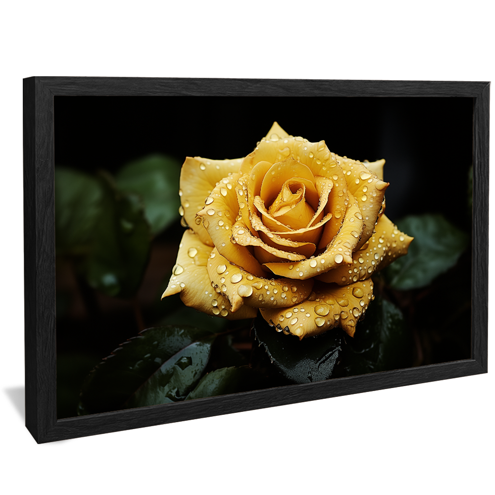 Wet Yellow Rose V831 Canvas