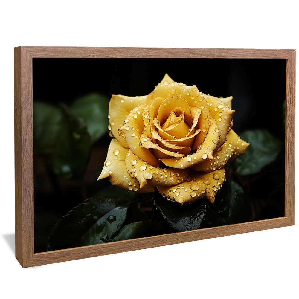 Wet Yellow Rose V831 Canvas