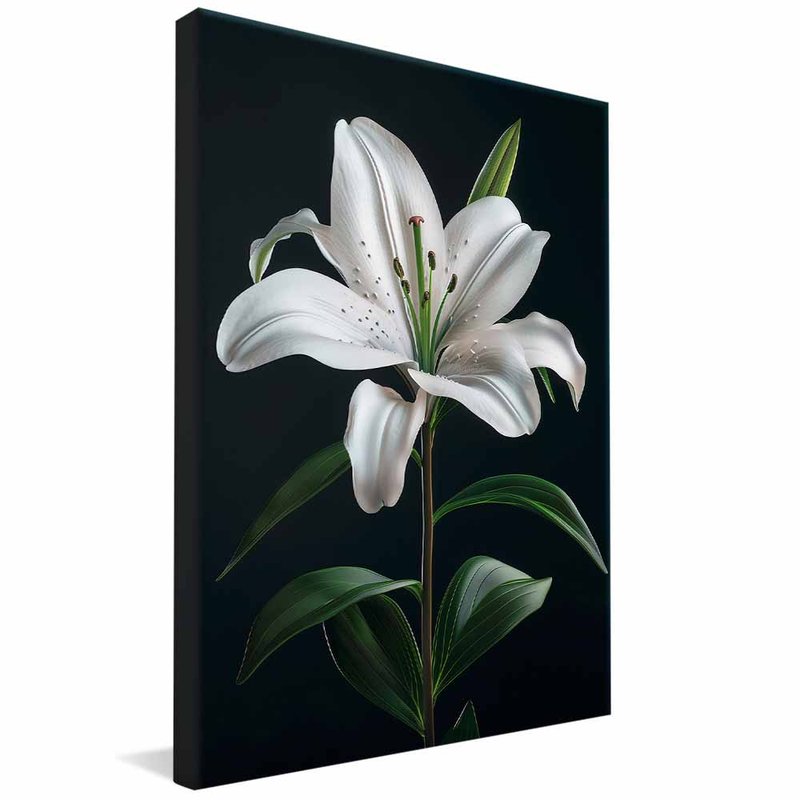 White Lily V1606 Canvas