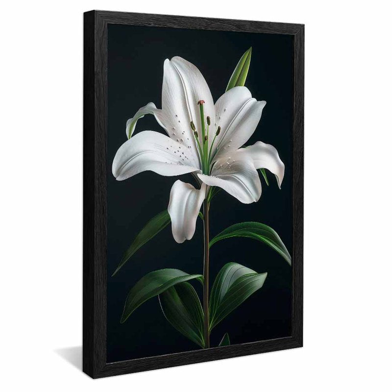 White Lily V1606 Canvas